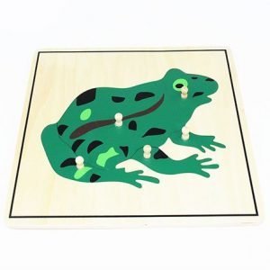 Animal Puzzle - Frog