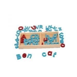 Alphabet in a Tray - Moveable Alphabet Home version