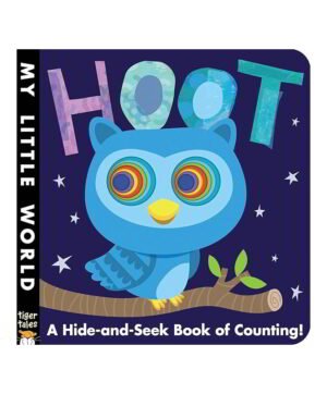 A Hide and Seek Book of Counting
