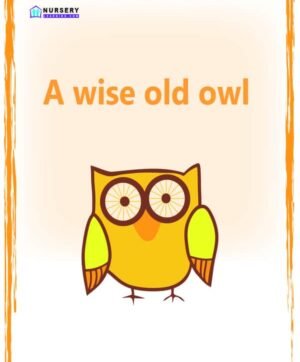 A Wise Old  Owl