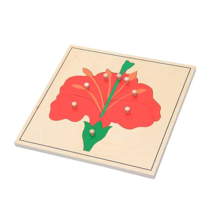 Botany Puzzle Flower